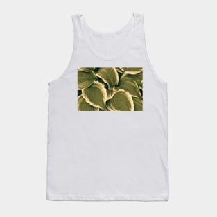 Hosta Leaves In The Rain 5 Tank Top